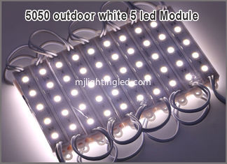 CINA Il modulo impermeabile della luce della parte posteriore del modulo LED di SMD 5050 LED per le lettere DC12V 1.2W 5 del segno ha condotto 75mm*12mm 20pcs/string fornitore