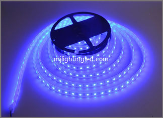CINA Decorazione di costruzione blu della luce 60led/m della corda del nastro della lampada della luce di strisce 12V LED fornitore