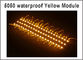 20pcs/lot impermeabile luminoso eccellente SMD 5050 un colore giallo IP65 di 3 moduli del LED ha condotto le lampade DC12V per il tabellone per le affissioni fornitore