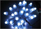 Alta qualità 12mm RGB Led Light Led Point Light Indirizzabile LED Strip Light Per Decorazione di Natale fornitore