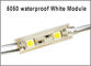 5050 modulo di illuminazione di 2 LED per il segno DC12V impermeabilizzano il colore di bianco dei moduli principale smd superbright fornitore