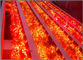 i cartelloni pubblicitari rossi della luce IP68 del pixel di 5V 9mm hanno condotto la decorazione all'aperto leggera della costruzione fornitore