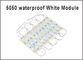 I moduli di bianco 5050 LED impermeabilizzano le lampadine principali segno di CC 12V SMD 3 LED dei moduli principali IP65 per le lettere di Manica bianche fornitore