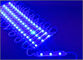 il modulo 3leds blu di 12V LED rimuove i moduli di pubblicità dell'iniezione dello stampaggio ad iniezione della lente backlight principale fornitore