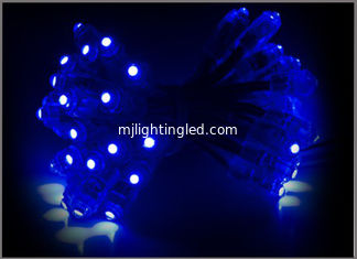 CINA L'illuminazione blu del pixel ha condotto la decorazione all'aperto di Natale di scintillio del modulo del pixel delle luci di Natale di nozze delle luci notturne 5V LED fornitore
