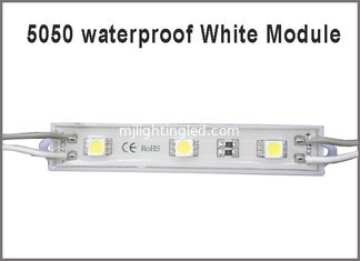 CINA 20PCS/Lot 5050 il modulo principale SMD 3 LED raffredda DC12V bianco LED impermeabile per Backlighting l'esposizione del bordo di pubblicità fornitore
