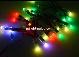 CINA 12mm 5V Colorato pixel LED Luce 2802/2806/2811/1903IC Per la decorazione di Natale fornitore