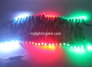 CINA 12mm 5V RGB LED Pixels WS2811 Adressable Point Light per il cambio di colore Segno pubblicitario fornitore