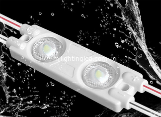 CINA moduli del pixel della luce 44*12 del modulo dell'iniezione di 12V 1W 2Led mini per la pubblicità di Lightbox fornitore