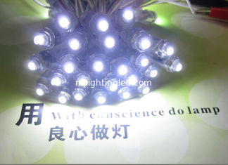 CINA 5V impermeabilizzano 9 millimetri di luce di lampadina principale IP68 50pcs/string per le lettere di canale principali fornitore