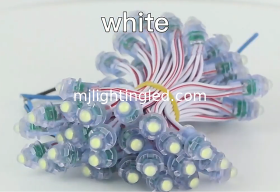 CINA LED Pixel Light IP67 impermeabile, 12V SMD Pixel Module per cartelloni 3D a lettera di canale fornitore