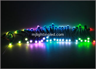 CINA i pixel di 12mm 5V il RGB LED accendono 2811/1903IC per la decorazione di Natale fornitore