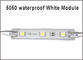 Lampada eccellente IP65 impermeabile DC12V della luce del modulo DC12V 3leds di luminosità 5050 SMD LED per la pubblicità delle luci decorative fornitore