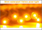 DC5V ha condotto le lettere all'aperto di illuminazione del contrassegno di colore di giallo della corda del pixel del modulo 9mm LED del pixel usate per il nameboard dei negozi fornitore
