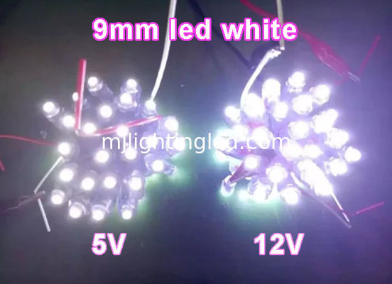 CE ROHS 9mm Bianco Color LED Pixel Light per illuminazioni per decorazioni esterne fornitore
