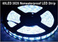 5M 60Leds/M 3528 SMD Bianco Flessibile Lampade a Nastro LED Lampade per la Decorazione delle Feste fornitore
