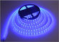 Decorazione di costruzione blu della luce 60led/m della corda del nastro della lampada della luce di strisce 12V LED fornitore