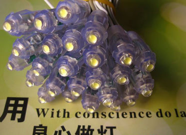 LED Pixel White String Light 5V/12V Disponibile Lettera di illuminazione per il cartello del negozio fornitore