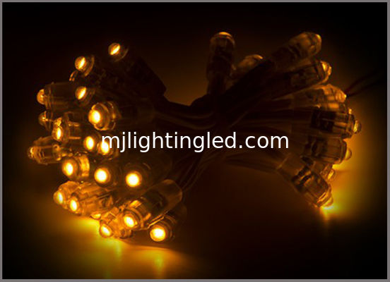 RGB DC5V 12mm RGB Led Module String impermeabile IP68 per il cambiamento di colore Lettera di canale fornitore