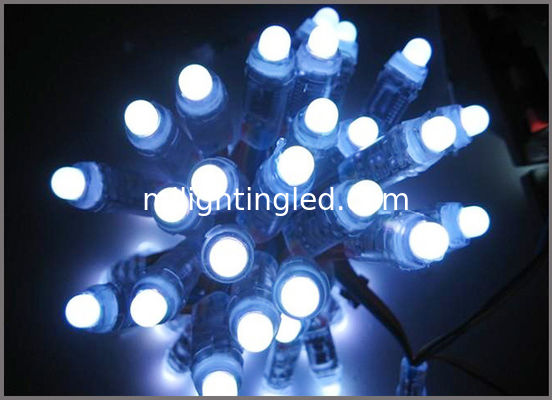 Stringa di luci a LED digitali indirizzabili a colori 12mm UCS1903, 50 pezzi/stringa per decorazioni natalizie fornitore
