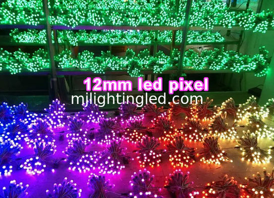 Stringa di luci a LED digitali indirizzabili a colori 12mm UCS1903, 50 pezzi/stringa per decorazioni natalizie fornitore