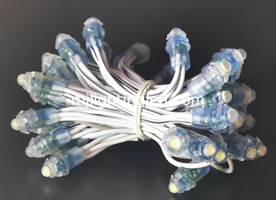 LED Pixel White String Light 5V/12V Disponibile Lettera di illuminazione per il cartello del negozio fornitore