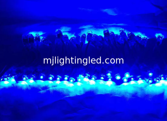 9mm LED Modulo pixel String Light Bule Color IP68 5V luci decorative per vacanze, Natale e festival fornitore