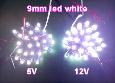 Il nodo principale 50node del pixel di lamparas un input della corda IP66 DC5V ha condotto le luci del pixel per colore di bianco del segno delle lettere fornitore