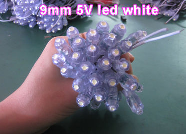 Il nodo principale 50node del pixel di lamparas un input della corda IP66 DC5V ha condotto le luci del pixel per colore di bianco del segno delle lettere fornitore