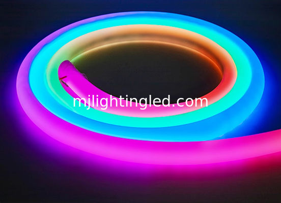 Strisce al Neon LED Rotonde 12V / 24V Impermeabili fornitore