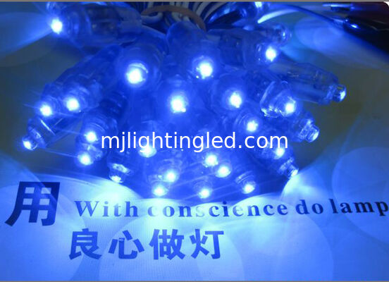 Mini lampadine a LED blu Luce per negozi di pubblicità banner segni Standard CE fornitore