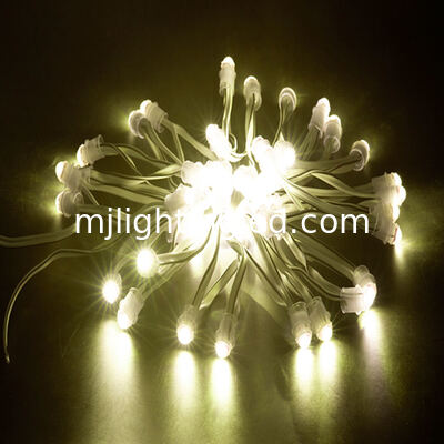 LED Pixel Light IP67 impermeabile, 12V SMD Pixel Module per cartelloni 3D a lettera di canale fornitore