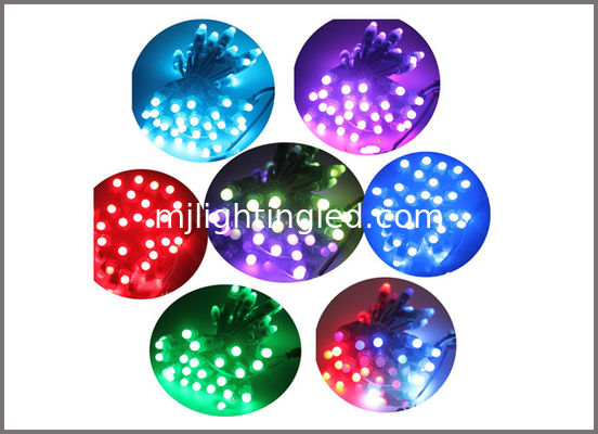 i pixel Fullcolor 5V di 12mm 9mm accende la decorazione leggera colorcharging di Natale del punto 2811/1903IC fornitore