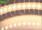 Modulo principale PANNOCCHIA moduli rossi/verdi/blu/gialli/bianchi/rosa di 12V del CE ROHS 2.4w 5016 per la lampadina principale fornitore